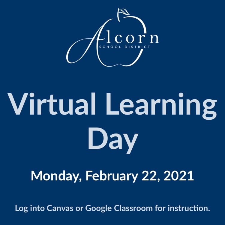 virtual learning day