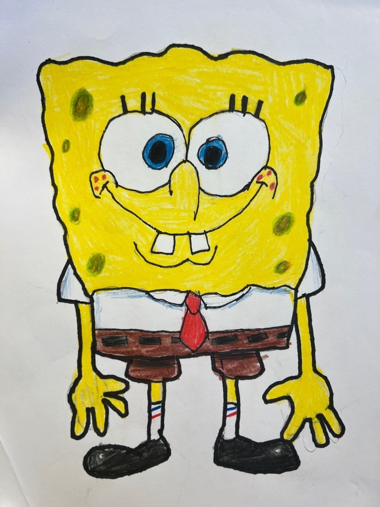 Colton Sponge 🧽 